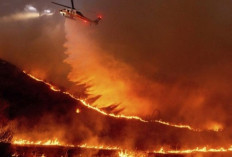 Pesawat Water Bombing Dikerahkan Demi Cegah Meluasnya Kebakaran di Los Angeles
