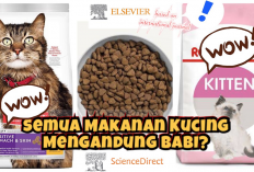 Makanan Kucing Mengandung Daging Babi? Begini Hukum Halal dan Haramnya Menurut Pandangan Islam