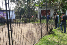 BKSDA Baru Tahu Jika di Pendopoan Rumah Dinas Bupati Ada Hewan Dilindungi