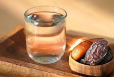 Khasiat Sari Kurma untuk Pengobatan DBD, Apa Benar? Yuk Simak Penjelasannya...