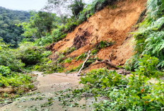 Tana Toraja Berduka, 18 Orang Tewas Tertimbun Tanah Longsor, Ini Daftar Nama Korban
