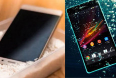 HP Masuk Air? Jangan Langsung Direndam Beras, Ini Cara yang Benar Biar Nggak Rusak!