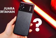 Serbu Rek, Promo Payday Poco Tawarkan Potongan Harga Sampai Rp 1 Juta, Cek Daftar HP di Sini
