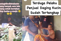 Heboh! Pria di Pagar Alam Jual Daging Kucing Ngaku Daging Sapi, Polisi Bertindak Cepat
