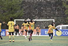 Begini Kepedulian Djarum Agar Sepak Bola Wanita Tembus Piala Dunia, Gelar Kejuaraan untuk Siswi SD di 8 Kota