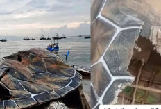 Geger! Alun-alun Gadobangkong di Sukabumi Senilai Rp15,6 Miliar Rusak Parah, Patung Penyu Kardus Jadi Sorotan