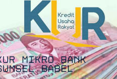 Bunga Rendah! KUR Mikro Bank Sumsel Babel Cocok untuk Usaha Angkringan Pemula, Cek Syaratnya Disini 