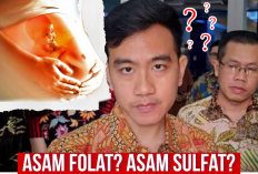 Gibran Disentil Gegera Salah Sebut Asam Folat, Ternyata ini Manfaat untuk Ibu Hamil