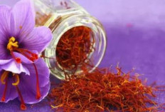 Cara Mudah Membuat Toner dan Masker Saffron di Rumah, Dijamin Kulit Bebas Jerawat Girls!