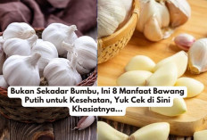 Bukan Sekadar Bumbu, Ini 8 Manfaat Bawang Putih untuk Kesehatan, Yuk Cek di Sini Khasiatnya...