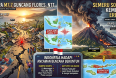 Gempa M7,7 Guncang Flores, Semeru Kembali Erupsi: Indonesia Hadapi Ancaman Bencana Beruntun