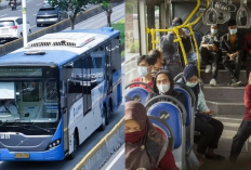 Yuk Cobain Naik Bus Transjakarta Blok M–Bogor: Tarif Murah, Kenyamanan Maksimal!