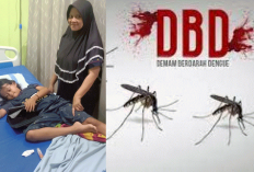 Darurat DBD di Talang Kedondong! Puluhan Warga Terserang Demam Berdarah, Minta Fogging Segera Dilakukan