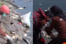 Cinta Lingkungan! Mahasiswa dan Warga Bersihkan Sampah dan Selamatkan Danau Siombak