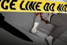 Viral Sopir Angkutan Umum dan Tukang Ojek Ditikam OTK di Paniai, 1 Orang Tewas Akibat Luka Senjata Tajam