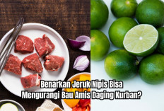 Benarkan Jeruk Nipis Bisa Mengurangi Bau Amis Daging Kurban Idul Adha? Ini Penjelasan Pakar!