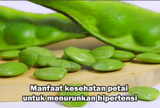 Petai Bisa Menurunkan Hipertensi, Mitos atau Fakta?