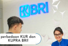 KUR dan KUPRA punya Limit Pinjaman Berapa Ya? Intip Disini Perbedaan dan Persamaannya...
