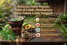 Rebusan Daun Pepaya: Pahit di Lidah, 7 Manfaatnya Bikin Tubuh Lebih Tangguh