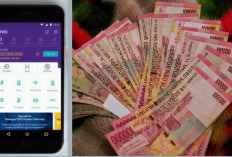 12 Game Puzzle Viral dapat Saldo OVO Gratis Rp500 Ribu, Moms di Rumah Instal Ini Aja untuk Anak-anak Main!