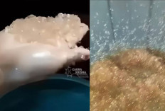 Geger! Fenomena Hujan Jeli di Gorontalo, Begini Penjelasan BMKG