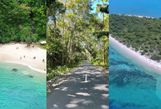 3 Destinasi Wisata Keren di Banyuwangi! Teluk Hijau, Alas Purwo, & Pulau Tabuhan Bikin Liburan Naik Level