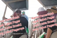 Aksi Viral Emak-emak Cabut Pagar Laut di Tangerang: Cabut Bambunya!