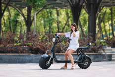 Ada Program Subsidi, Penjualan Motor Listrik Masih Loyo, Pemerintah Siapkan Dana Fantastis, Nilainya Segini!