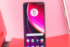Tak Semua Kebagian, Motorola Umumkan Daftar HP yang Menerima Update Android 14