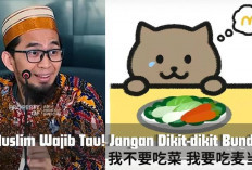 Cukup Fat Cat Aja! Kamu Jangan Asal Bundir, Ustaz Adi Hidayat Said Tetap Chill Bro.. 