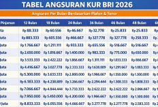 Syarat & Bunga KUR BRI 2026: Pinjaman UMKM Mulai 3% Per Tahun