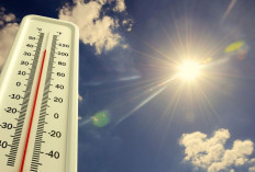 Cuaca Terik Capai 37,6°C! Ini Daftar Wilayah Indonesia yang Paling Panas Oktober 2025