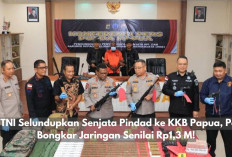 Eks TNI Selundupkan Senjata Pindad ke KKB Papua, Polisi Bongkar Jaringan Senilai Rp1,3 M!