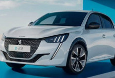 Wedew...Ada Mobil Tidak Laku  di Indonesia, Padahal Merek Terkenal, Kok Bisa? 