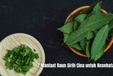 7 Manfaat Daun Sirih Cina untuk Kesehatan, dari Jerawat hingga Diabetes