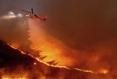 Ngeri! Kebakaran Hutan di Los Angeles Terus Meluas Mengarah ke Timur Laut dan 11 Orang Tewas