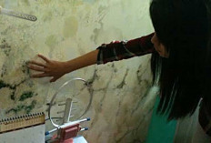 Masuk Musim Penghujan, Kamar Lembab dan Berjamur, Ini Tips Mengatasinya, Dijamin Tuntas! 