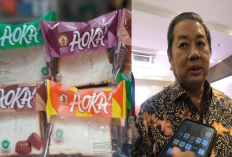 Viral Hasil Uji Lab BPOM Roti Aoka Tersebar, Emang Iya Ga Terbukti Mengandung Pengawet Kosmetik, Masak Sih?