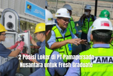 Intip 2 Posisi Loker di PT Pamapersada Nusantara untuk Fresh Graduate, Segera Lamar Sebelum 8 Juni 2025!