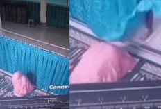 Viral! Terekan CCTV Wanita Jadi Korban Pelecehan di Masjid Lampung saat Salat