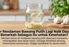 Air Rendaman Bawang Putih Lagi Naik Daun, Benarkah Sebagus Itu untuk Kesehatan?