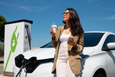 Terungkap! OJK Sebut Premi Asuransi Kendaraan Listrik Lebih Mahal dari Konvensional karena Ini