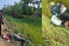 Panik di Rel Ketika Kereta Mendekat, Petani Tewas Disambar KA Babaranjang