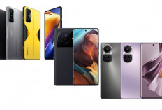 Gak Perlu iPhone! Ini 3 HP Android dengan Spesifikasi Kamera Setara dan Harga Lebih Murah