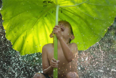 Air Hujan Bisa Digunakan Untuk Mandi, Benarkah? Yuk Simak Faktanya