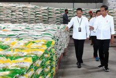 Hore! Bantuan Pangan Resmi Dilanjutkan Tahun Depan, Cara Cek Penerima, Cukup Modal Hape