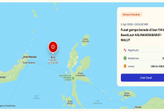 Gempa M5,7 Guncang Halmahera Barat, BMKG: Tak Berpotensi Tsunami