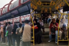 Trans Jabodetabek Rute Blok M–Bogor: Solusi Praktis yang Banjir Penumpang!