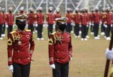 Masa Depan Cerah! Ini Link Pendaftaran STIN 2024, Lengkap Syarat dan Cara Daftar