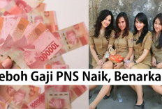 Edan! Gaji PNS Naik Lagi, Ternyata Ini Lho Penambahan Gaji PNS Dari Single Salary dan Total Rewards